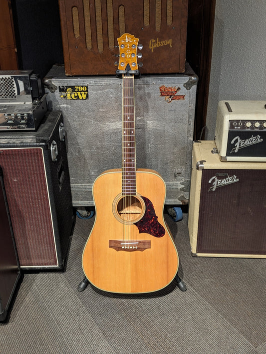 B.C. Rico RW-9C Made in Japan Acoustic Guitar w/Case (1980's)
