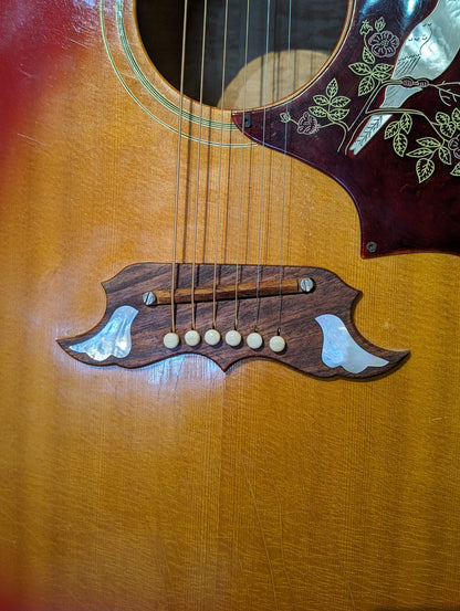 Gibson Dove Acoustic Guitar w/Case - Cherry Sunburst (1968-1969)