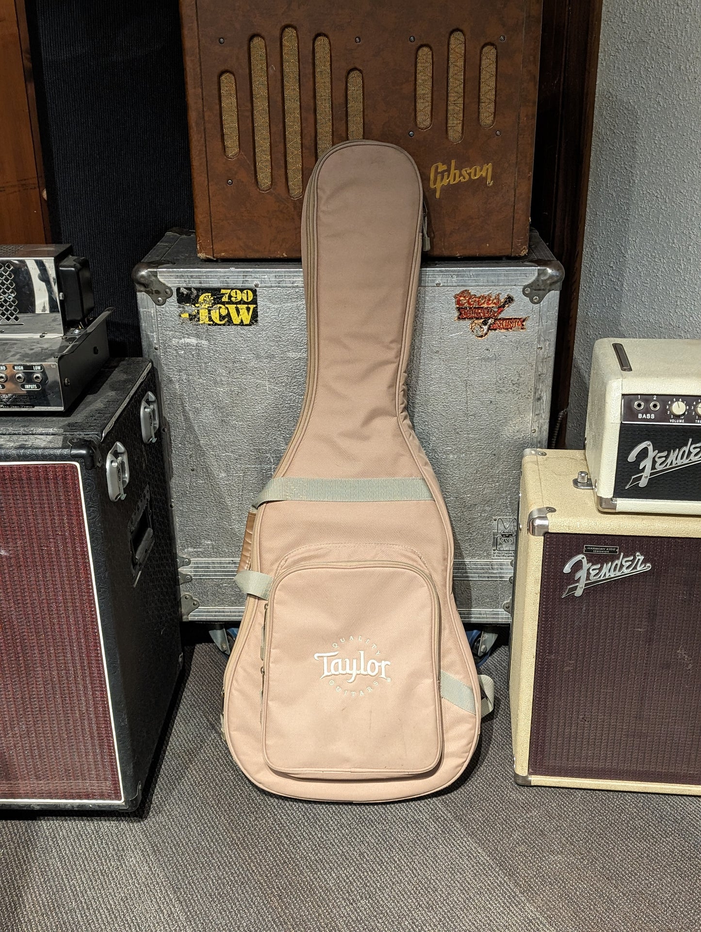 Taylor Big Baby Acoustic Guitar w/Gig Bag (2013)