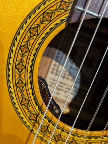 Takamine EC128 Acoustic/Electric Classical Guitar w/Case (1986)