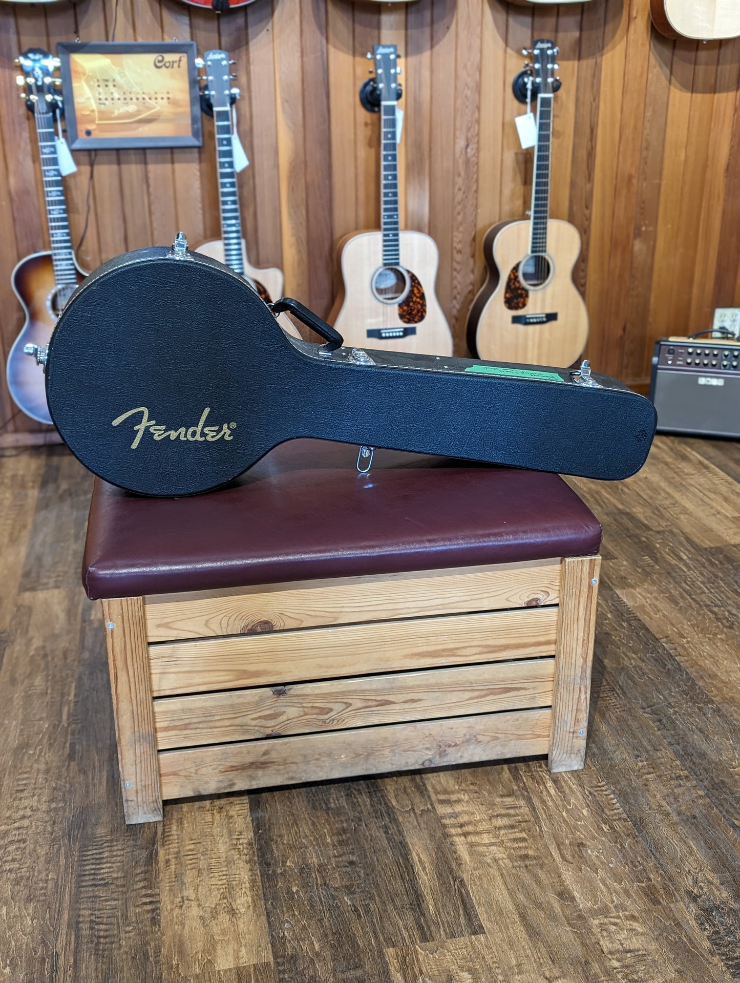 Fender FB-59 5-String Electric/Acoustic Banjo w/Case (2007)