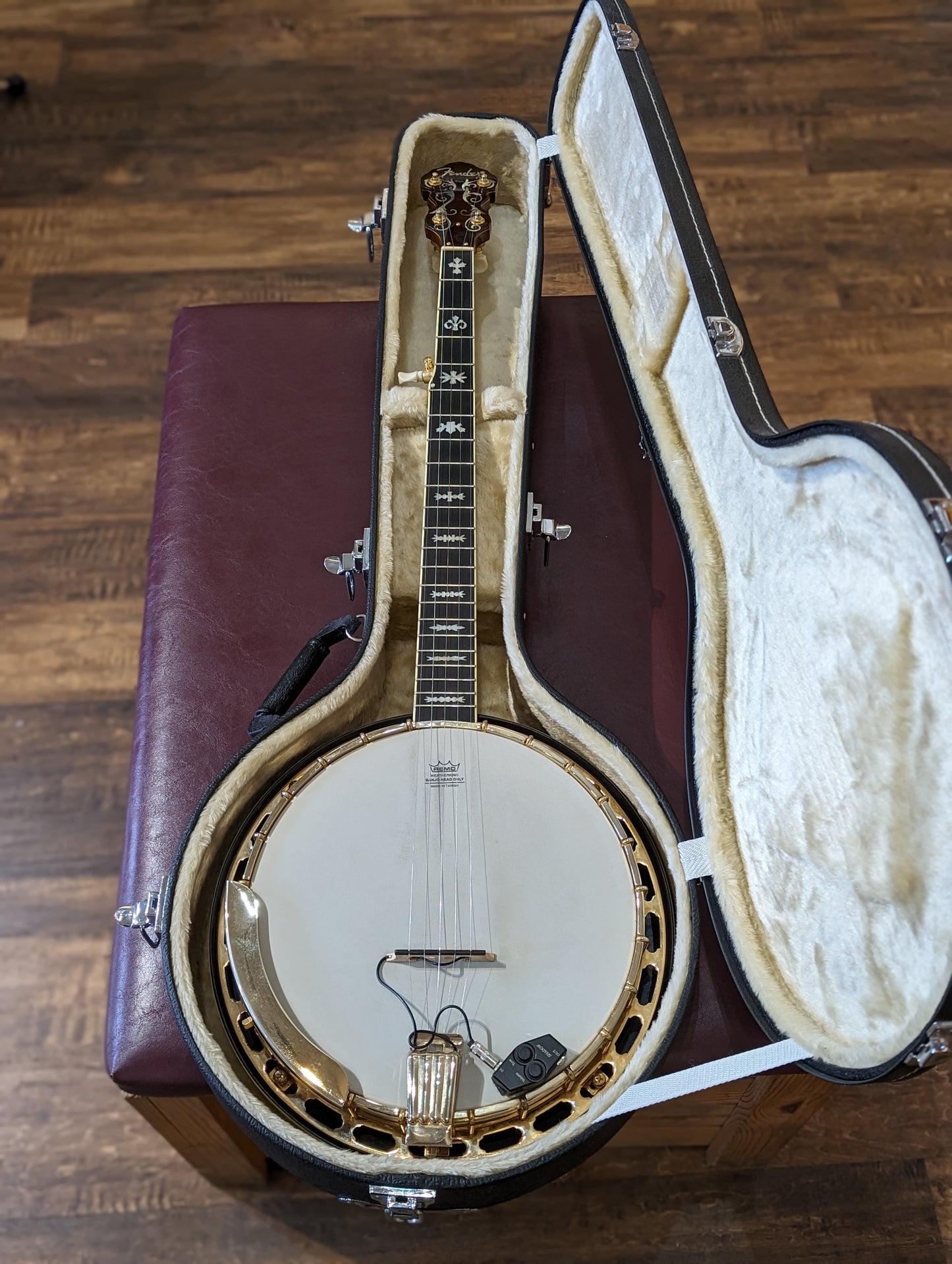 Fender FB-59 5-String Electric/Acoustic Banjo w/Case (2007)