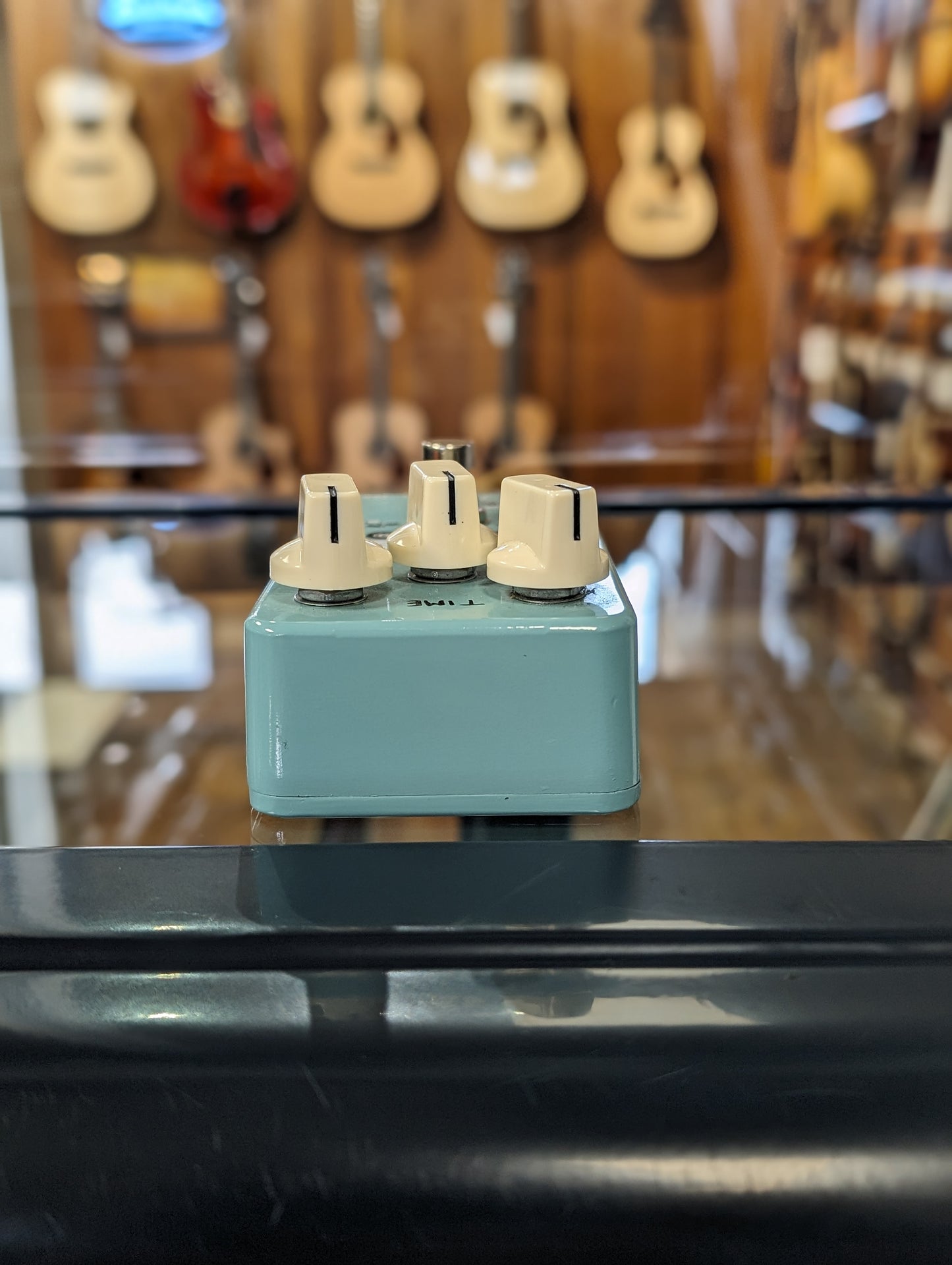 Animals Pedal Relaxing Walrus Delay (Used)