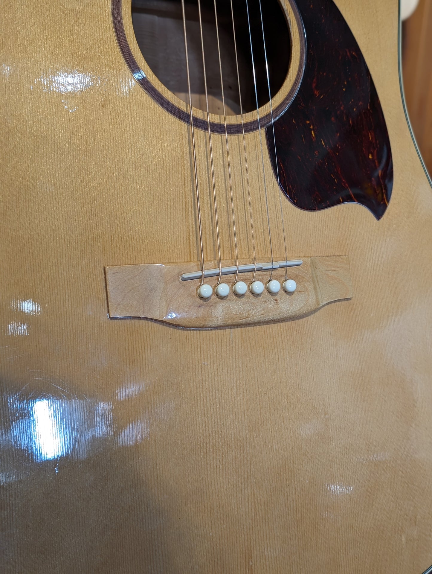Daion Mugen Series Mark III Dreadnought Acoustic Guitar (1980's)