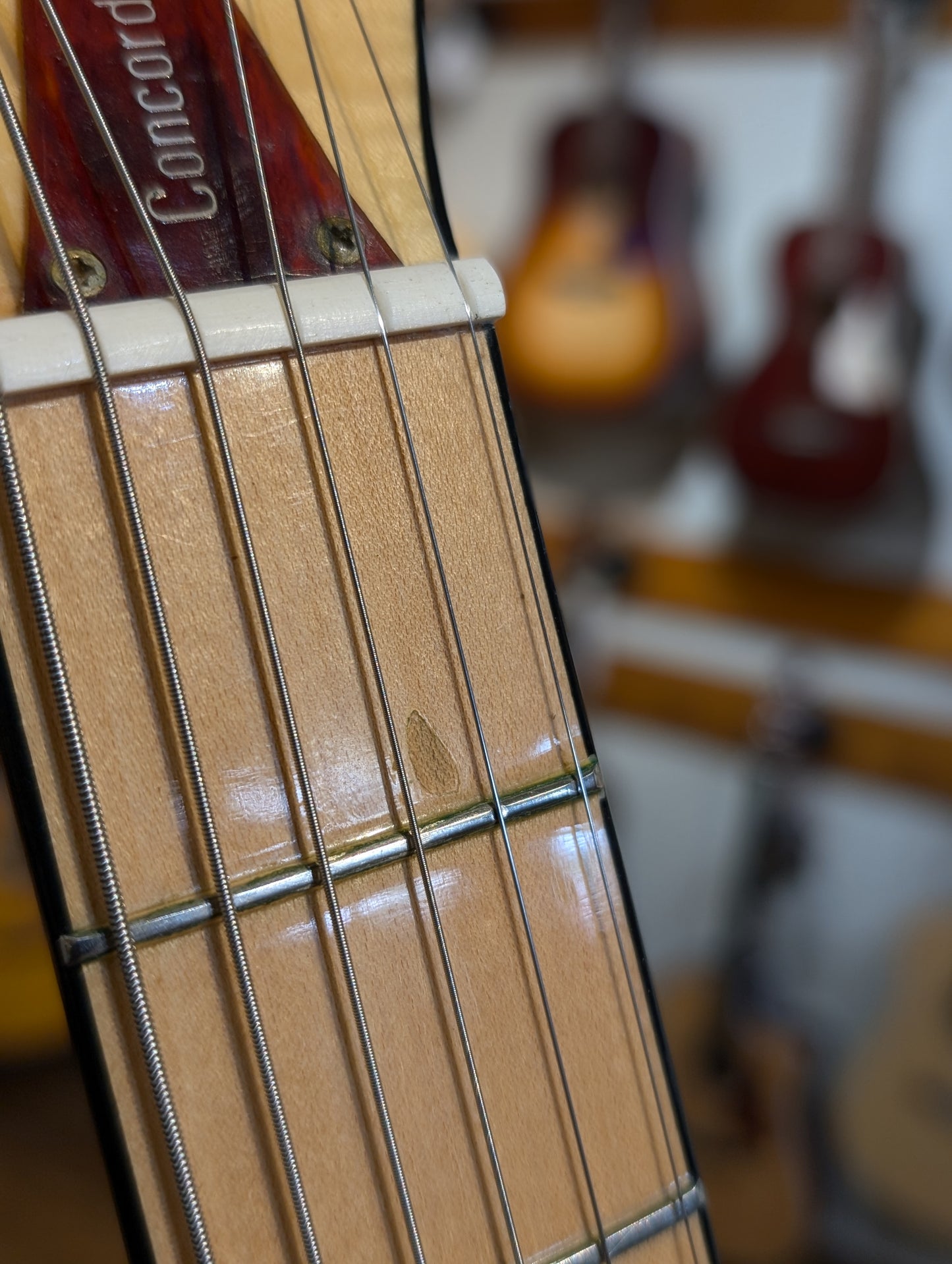 Ibanez Concord 670 Dreadnought Acoustic Guitar w/Gig Bag - Natural (1978)