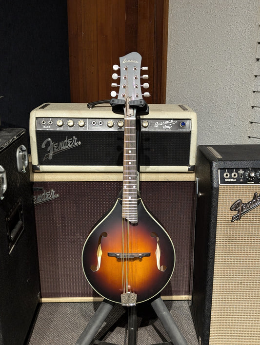 Eastman MD305E A-Style Electric/Acoustic Mandolin w/Gig Bag - Sunburst (Serial #N2401372)