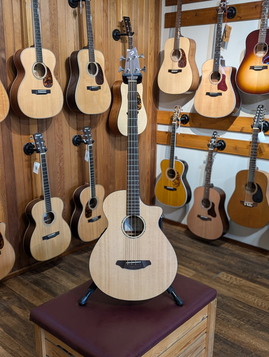 Breedlove ABJ250/SM4 4-String Acoustic/Electric Bass w/Case (2005)