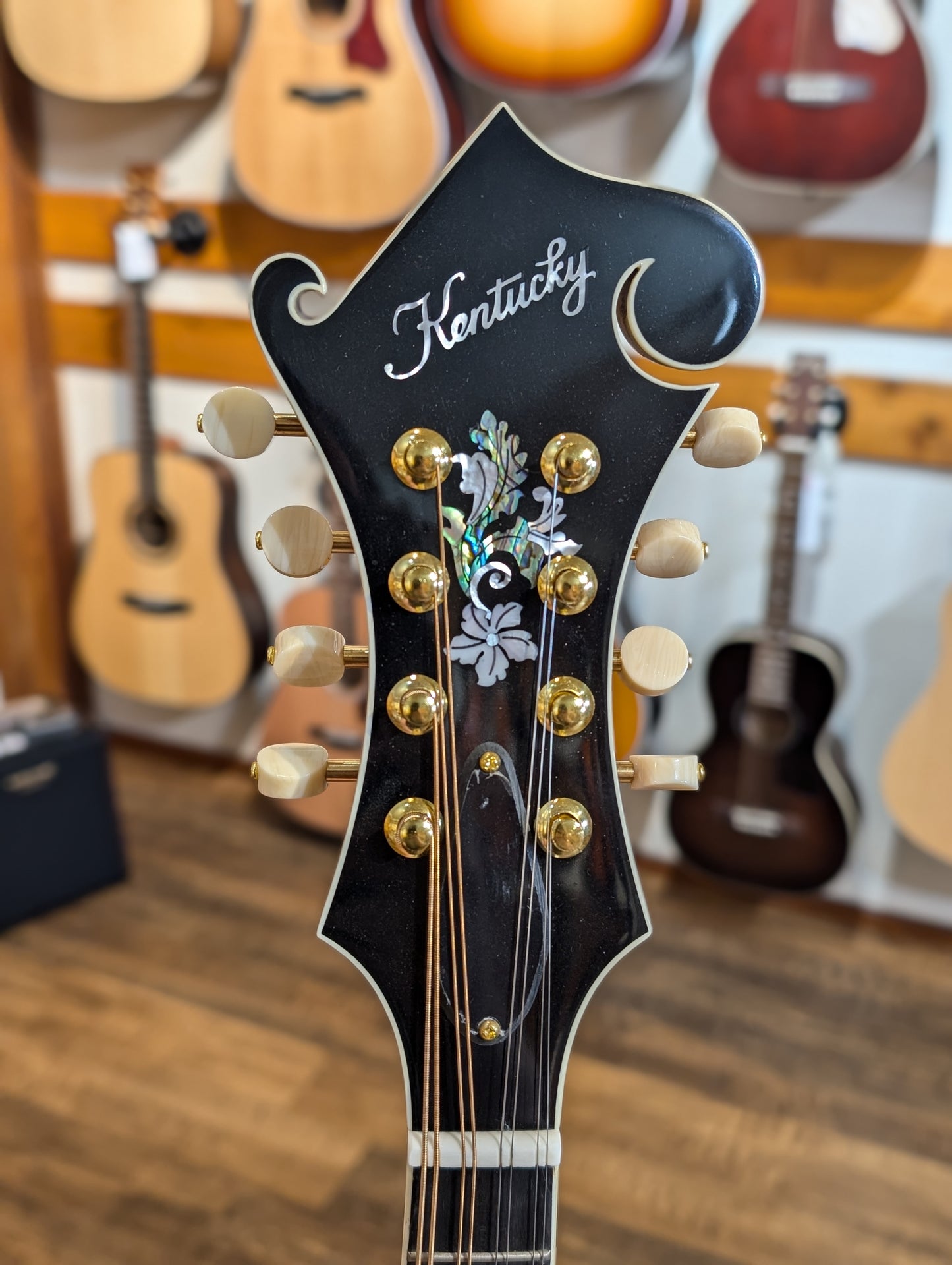 Kentucky KM-855 Artist F-Style Mandolin w/ Padded Gig Bag – Amberburst (Demo Model)