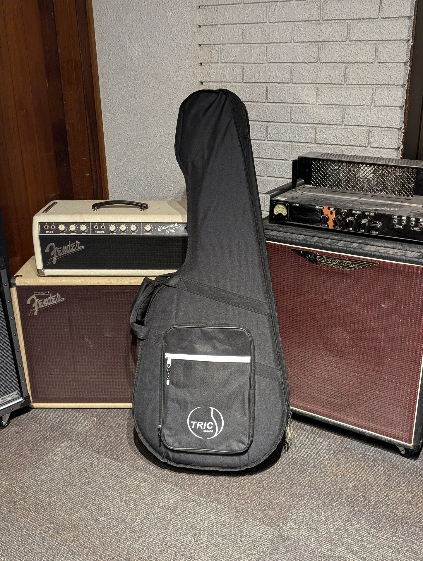 Godin Concert Classical Guitar w/Case (Used)
