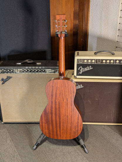 Eastman E1P Bluesmaster Limited Edition Parlor Acoustic Guitar w/Gig Bag - Classic Finish (Serial #M2333301)