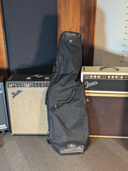 P-Bass Style Fretless Partscaster w/Gig Bag (Used)