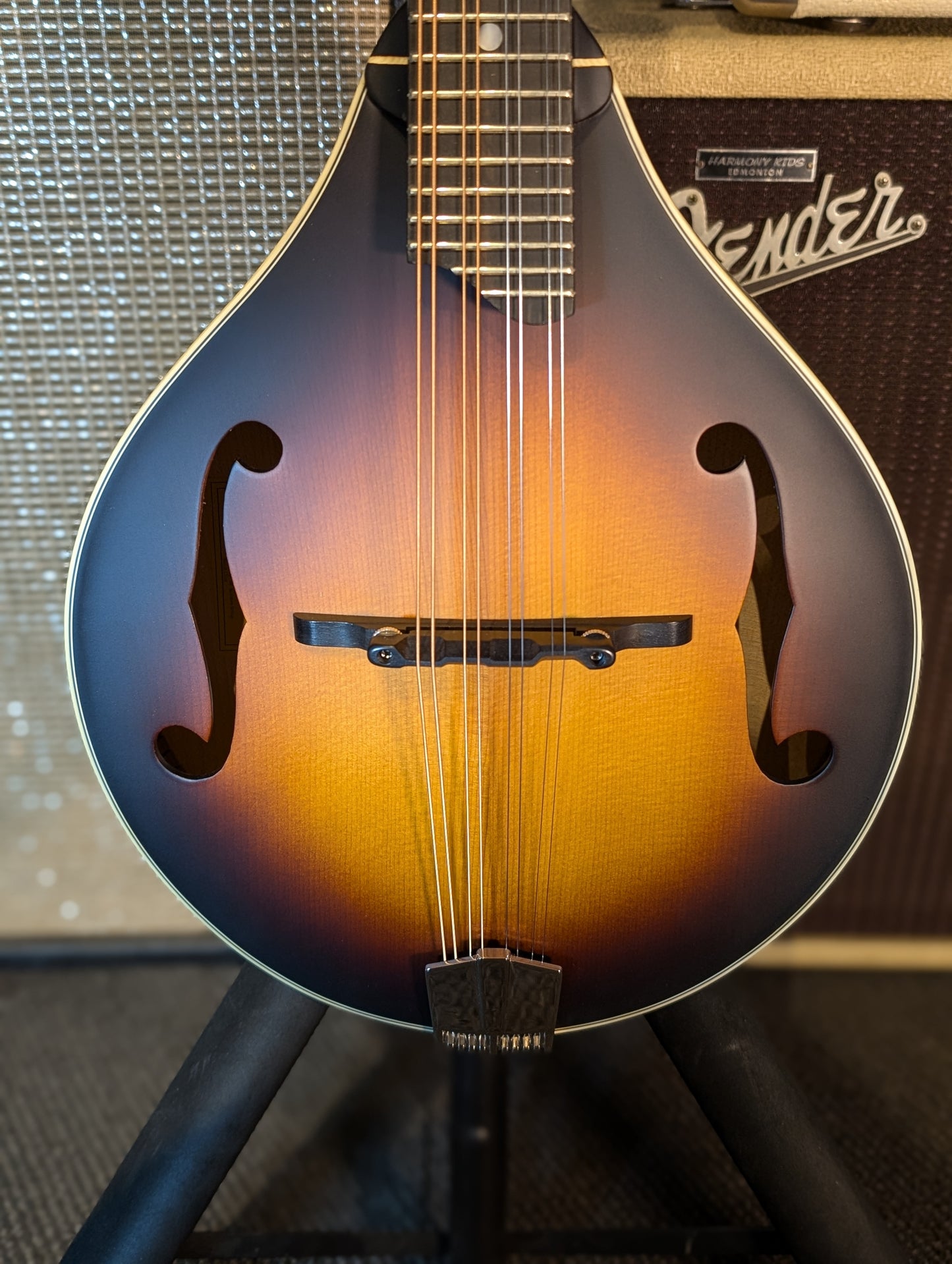 Eastman MD305E A-Style Electric/Acoustic Mandolin w/Gig Bag - Sunburst (Serial #N2401368)