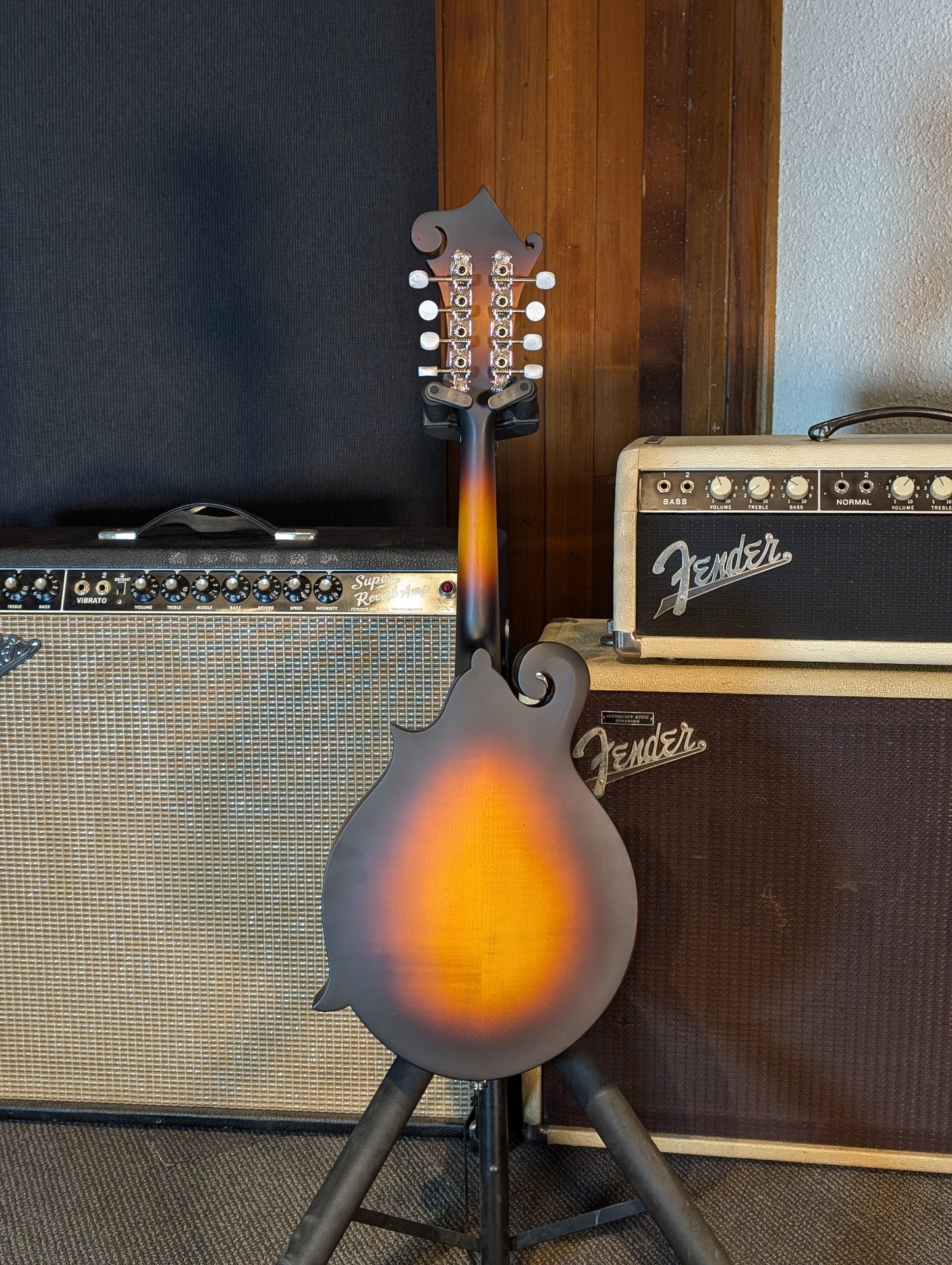 Eastman MD315E F-Style Electric/Acoustic Mandolin w/Gig Bag - Sunburst (Serial #N2401418)