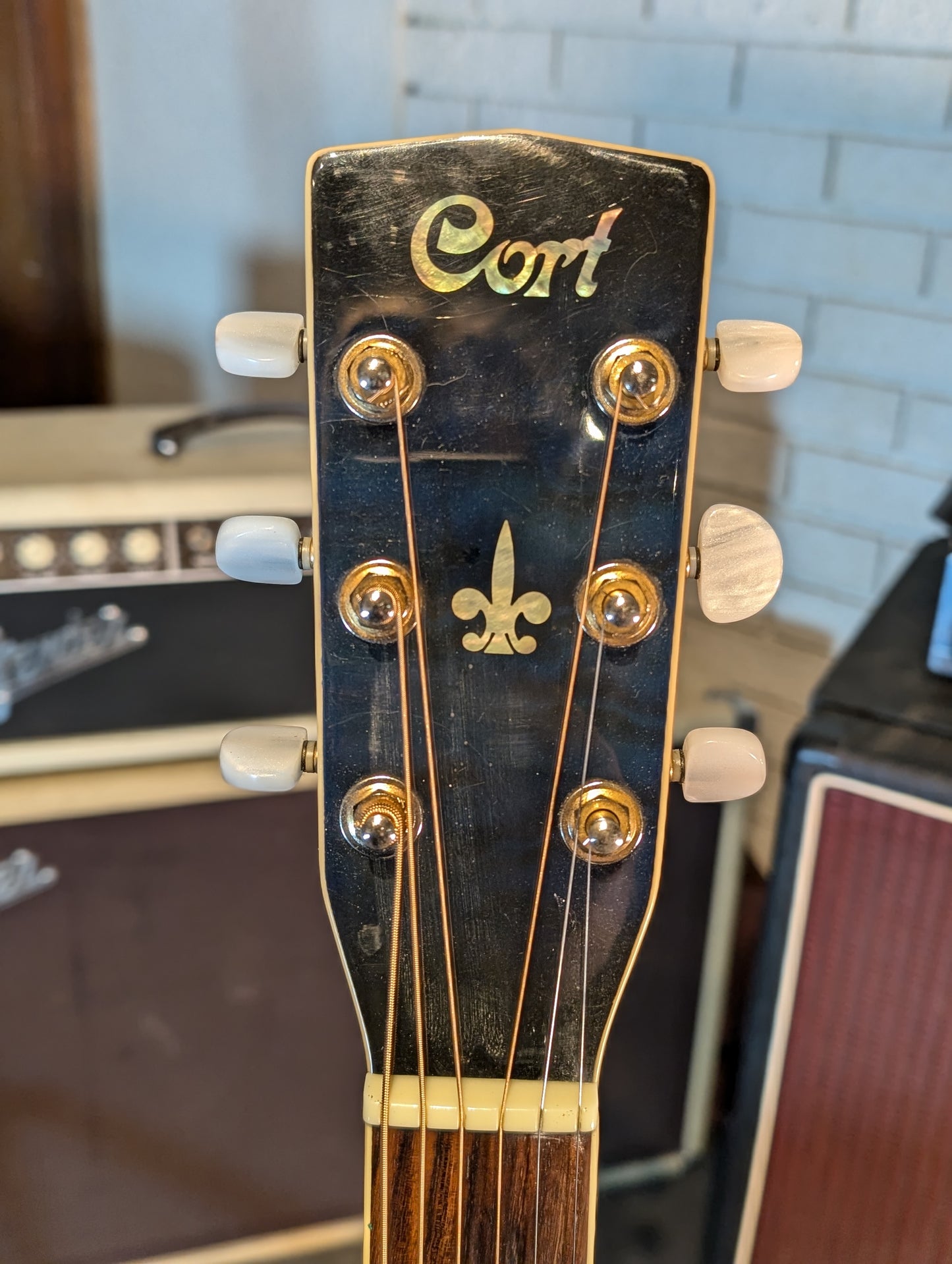 Cort MR-780FX Acoustic/Electric Guitar w/Gig Bag - Blue (Used)