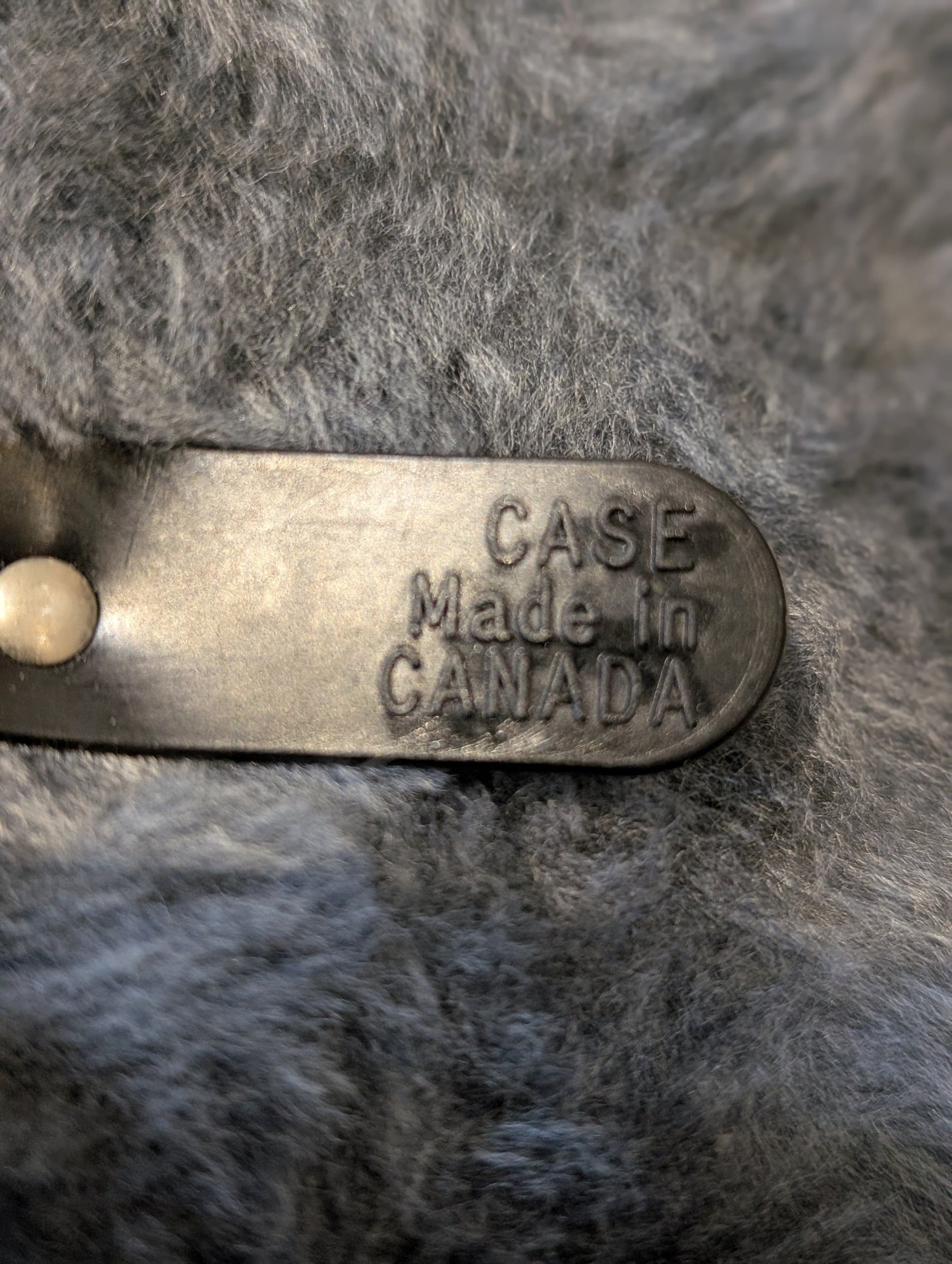 Electric Bass Case (Used)