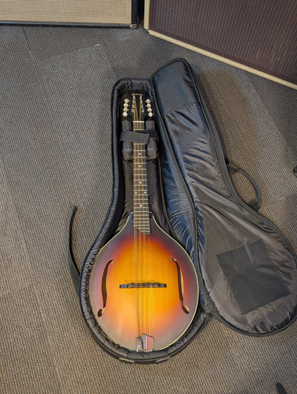 Eastman MDO305E Electric/Acoustic Octave Mandolin w/Gig Bag - Sunburst (B-Stock Serial #N2403273)