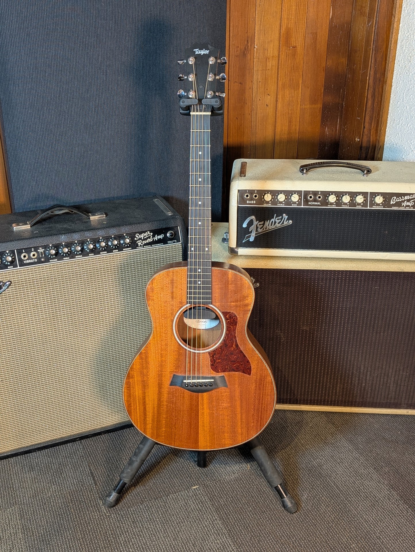 Taylor GS Mini Mahogany Acoustic/Electric Guitar w/Gig Bag (2013)