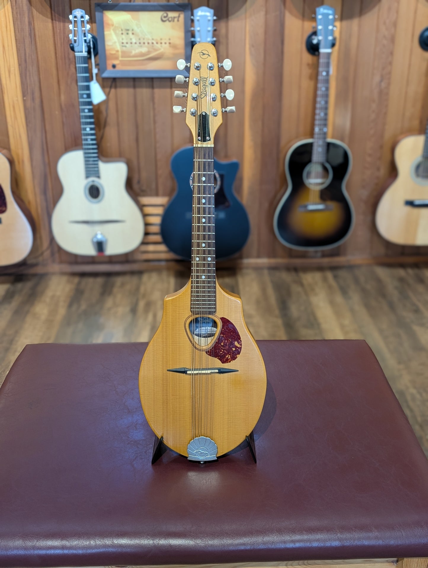 Seagull S8 Mandolin w/Case - Natural (Used)