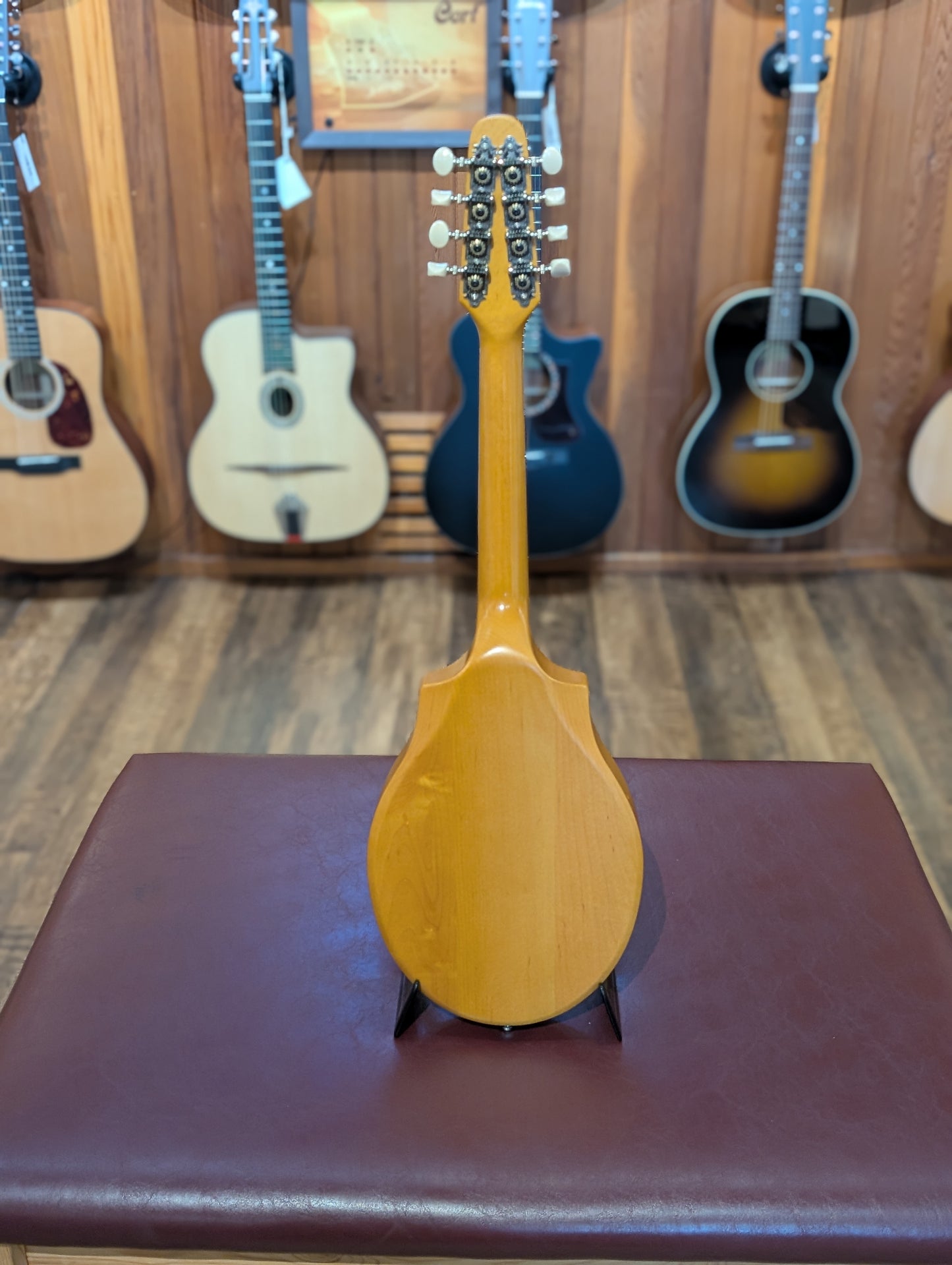 Seagull S8 Mandolin w/Case - Natural (Used)