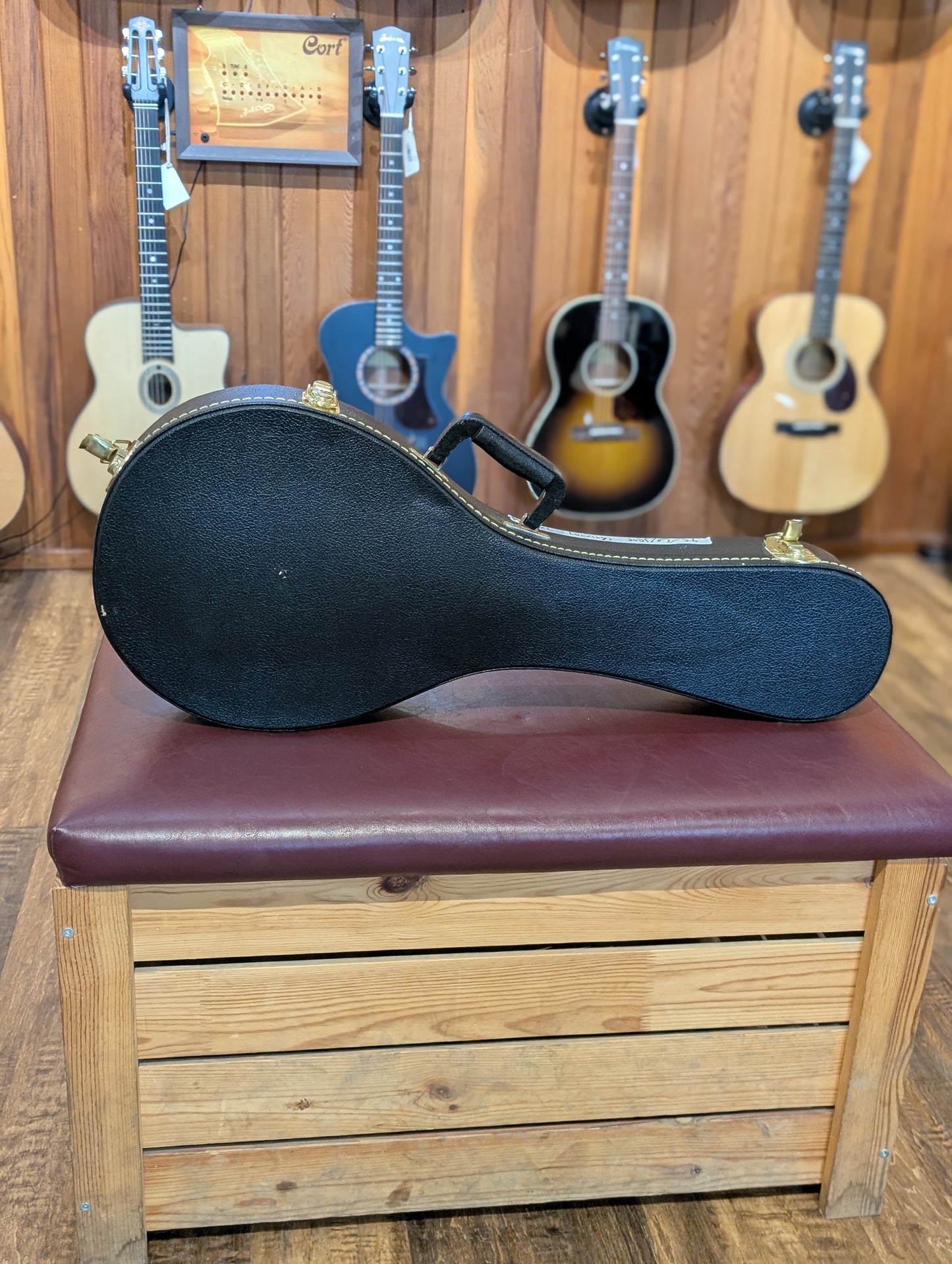 Seagull S8 Mandolin w/Case - Natural (Used)