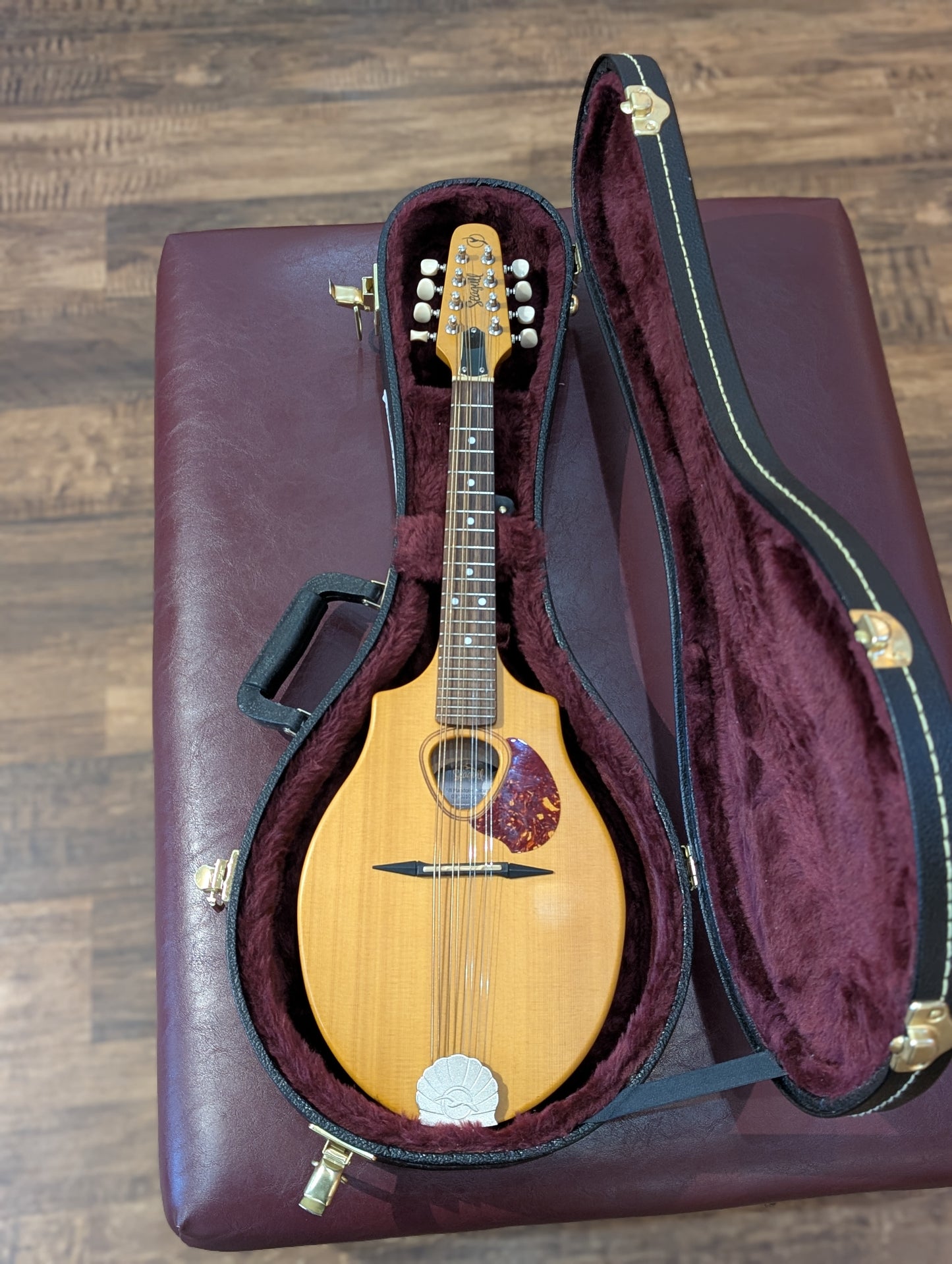 Seagull S8 Mandolin w/Case - Natural (Used)