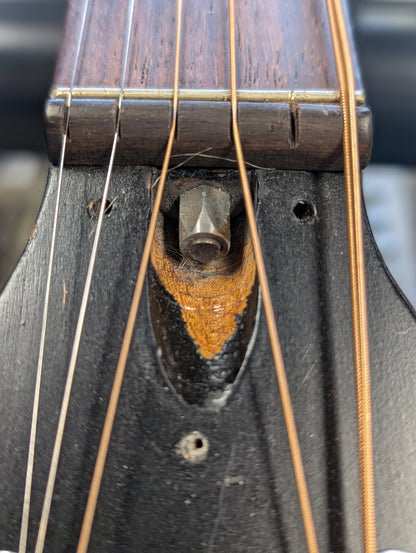 Framus 5/1  "Amateur" Wander Gitarren Parlor Acoustic Guitar (1950's - 1960's)