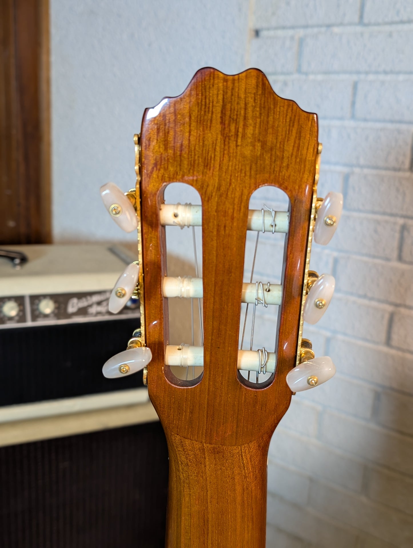 Beaver Creek Solid Top Cutaway Classical Guitar - Gloss Natural