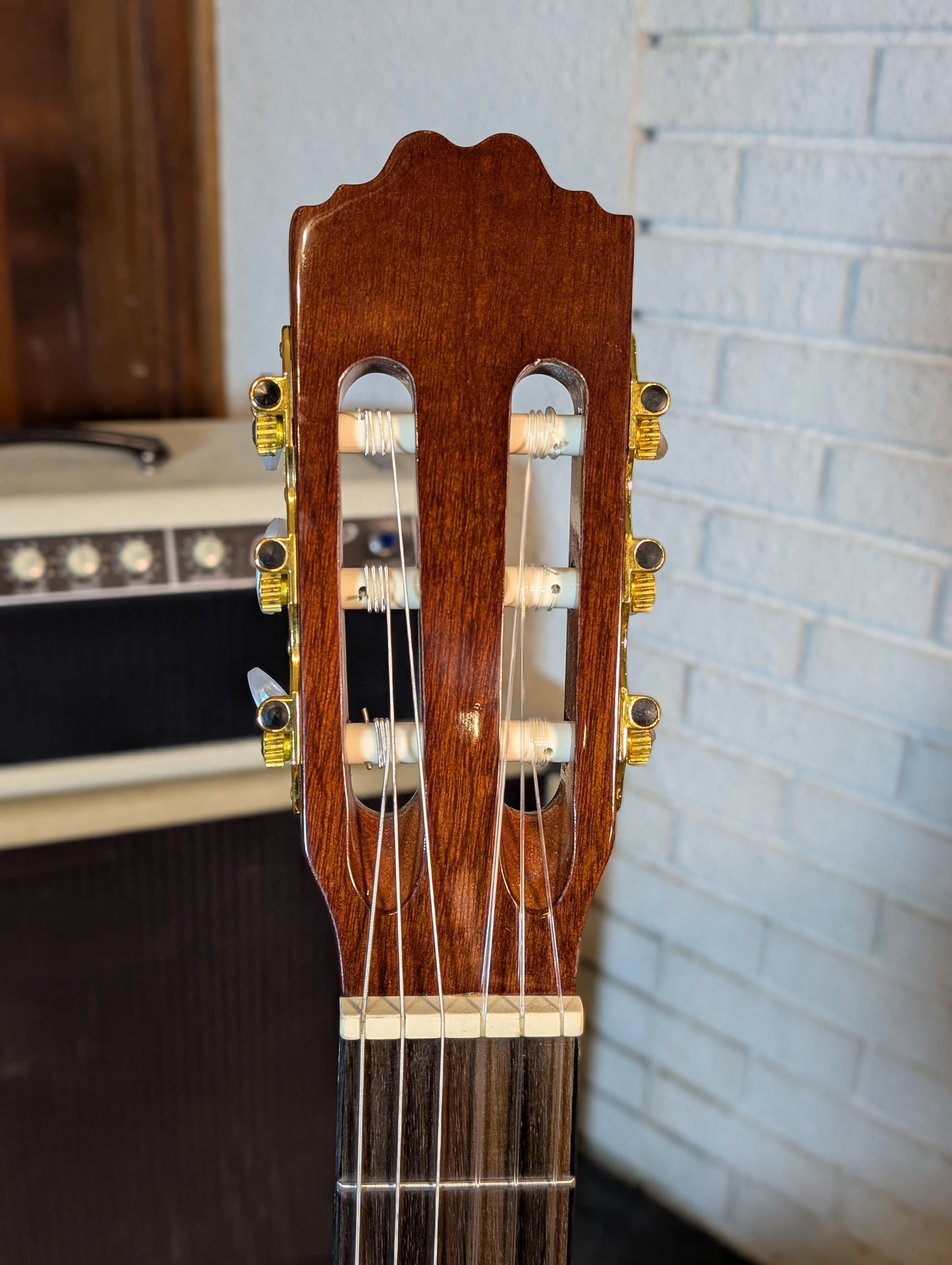 Beaver Creek Solid Top Classical Guitar - Gloss Natural