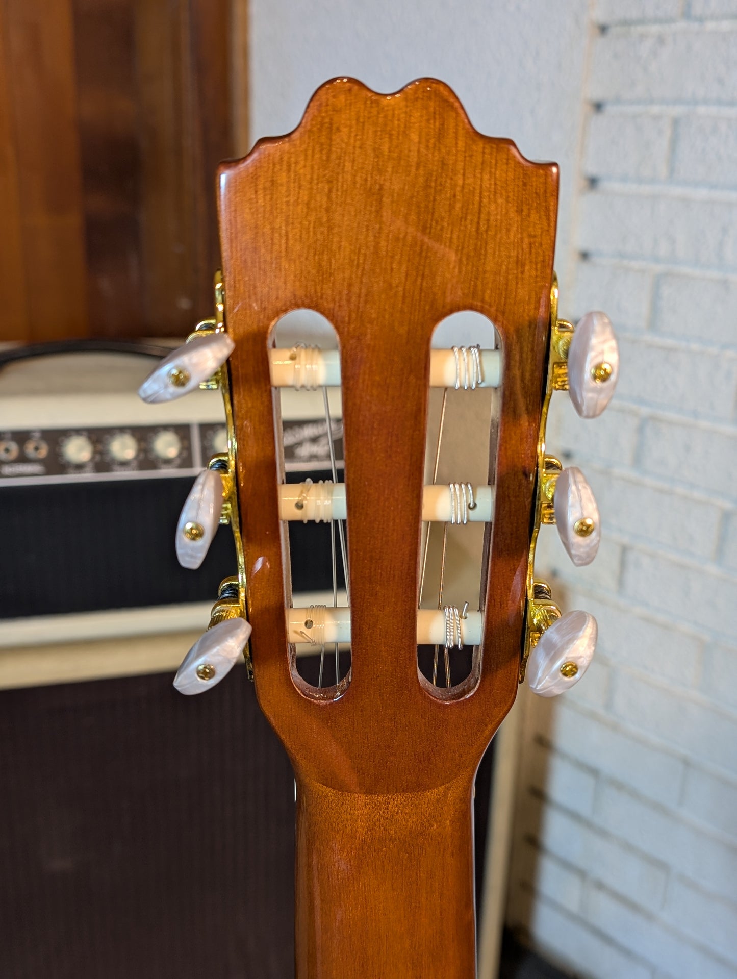 Beaver Creek Solid Top Classical Guitar - Gloss Natural