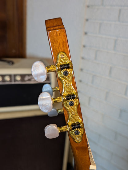 Beaver Creek Solid Top Classical Guitar - Gloss Natural