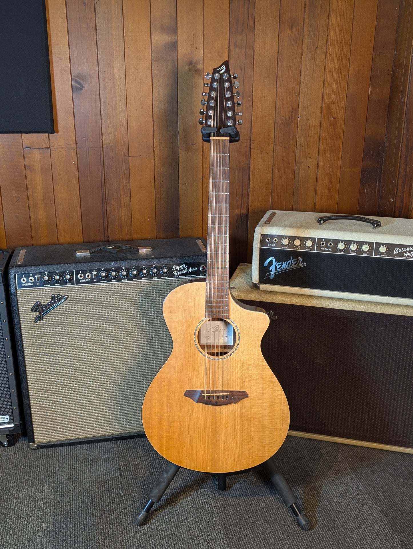 Breedlove C250/SM-12 12-String Acoustic Electric Guitar w/Gig Bag - Natural (Used)