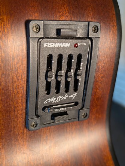 Breedlove C250/SM-12 12-String Acoustic Electric Guitar w/Gig Bag - Natural (Used)