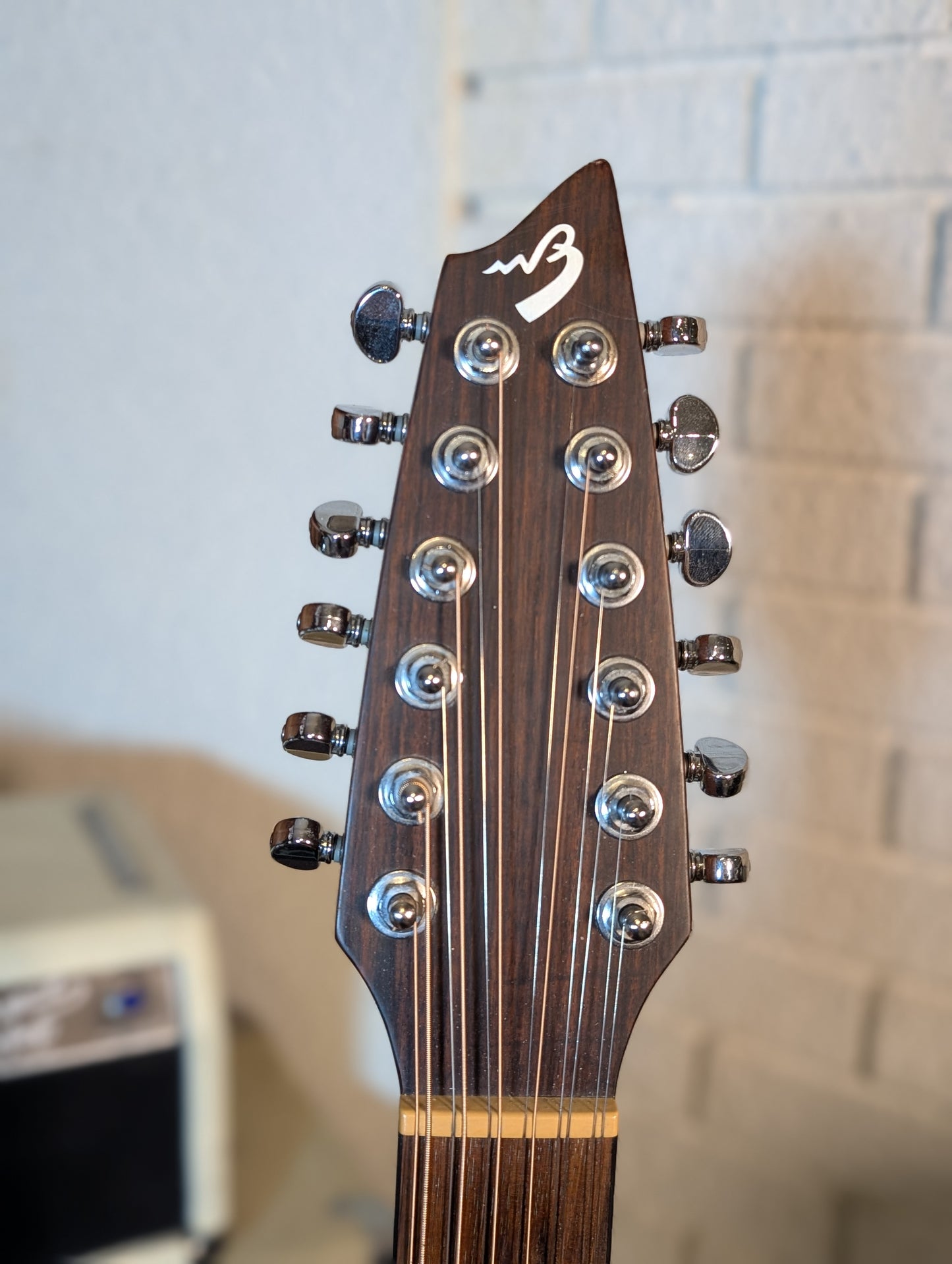 Breedlove C250/SM-12 12-String Acoustic Electric Guitar w/Gig Bag - Natural (Used)