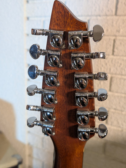 Breedlove C250/SM-12 12-String Acoustic Electric Guitar w/Gig Bag - Natural (Used)