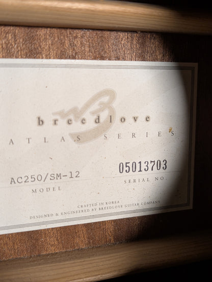 Breedlove C250/SM-12 12-String Acoustic Electric Guitar w/Gig Bag - Natural (Used)