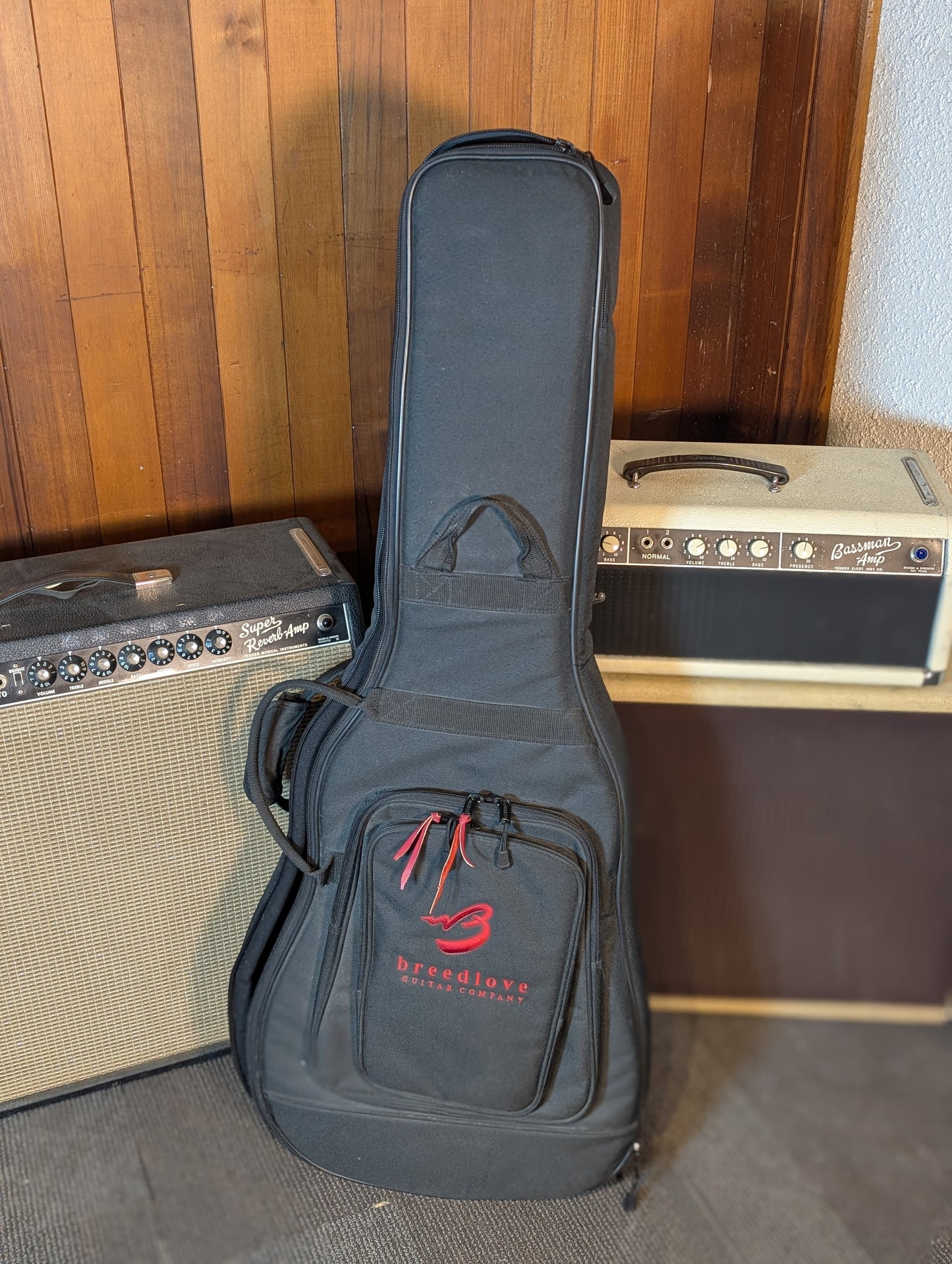 Breedlove C250/SM-12 12-String Acoustic Electric Guitar w/Gig Bag - Natural (Used)