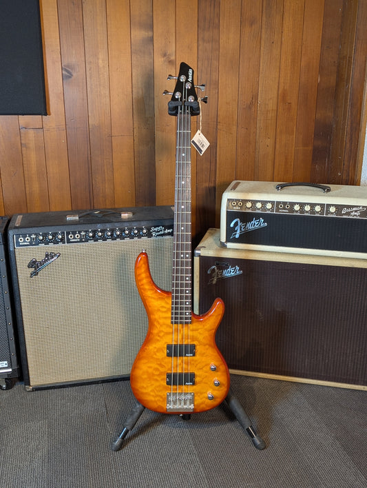Austin Custom Eclipse 4-String Passive Electric Bass Guitar w/Case - Amber Burst (Early 2000's)