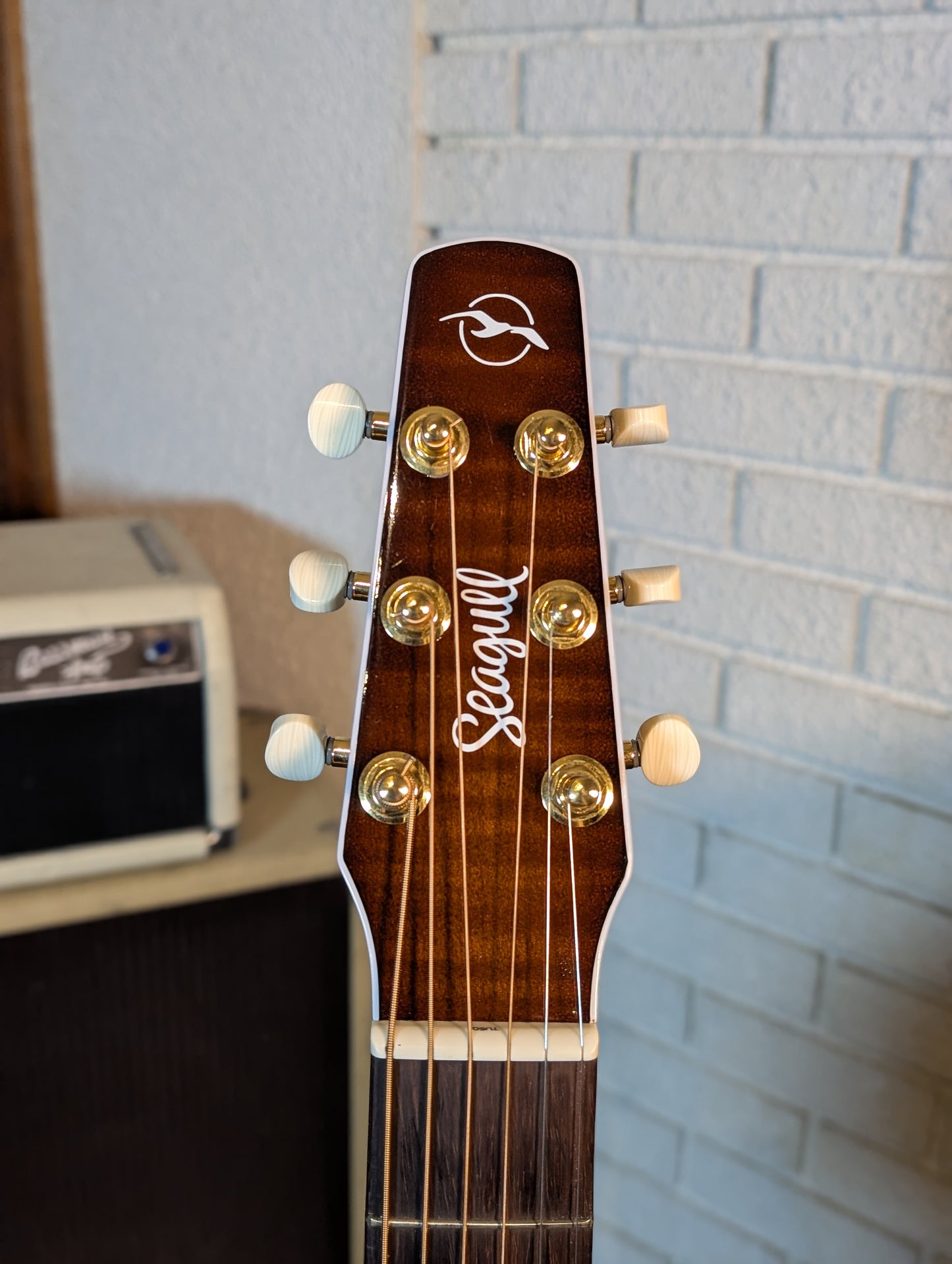 Seagull Performer CW Concert Hall Presys II Acoustic/Electric Guitar w/Gig Bag - Burnt Umber (Used)