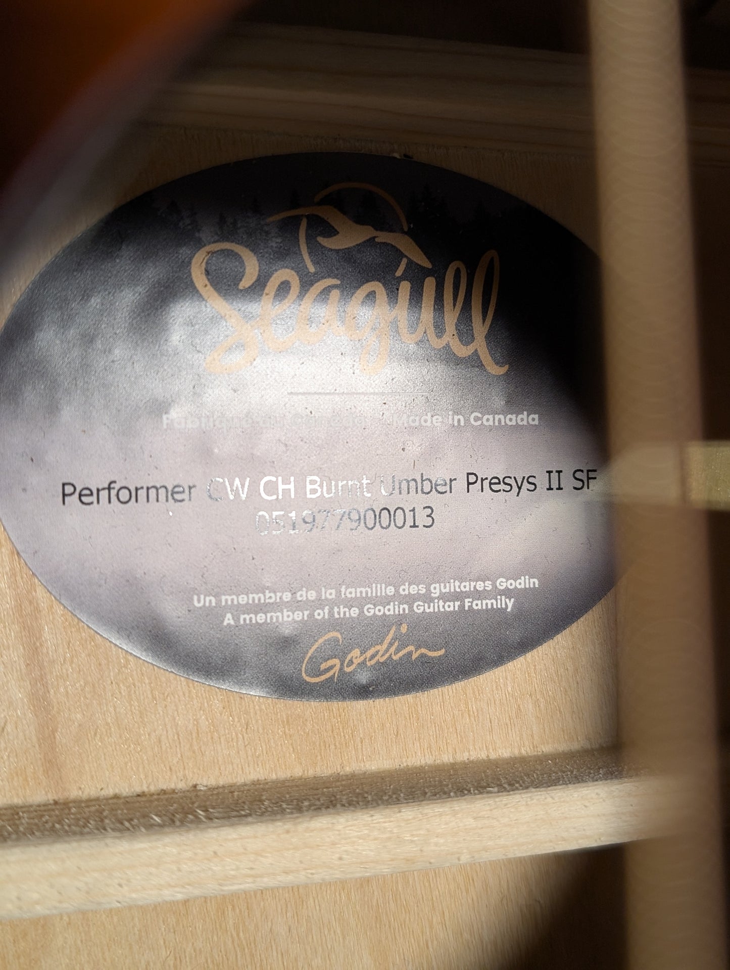 Seagull Performer CW Concert Hall Presys II Acoustic/Electric Guitar w/Gig Bag - Burnt Umber (Used)