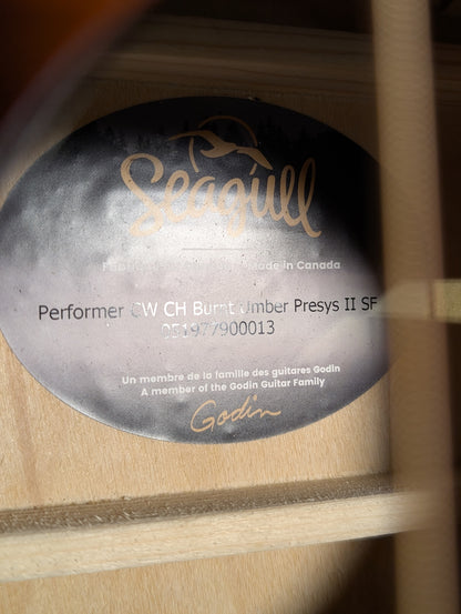 Seagull Performer CW Concert Hall Presys II Acoustic/Electric Guitar w/Gig Bag - Burnt Umber (Used)