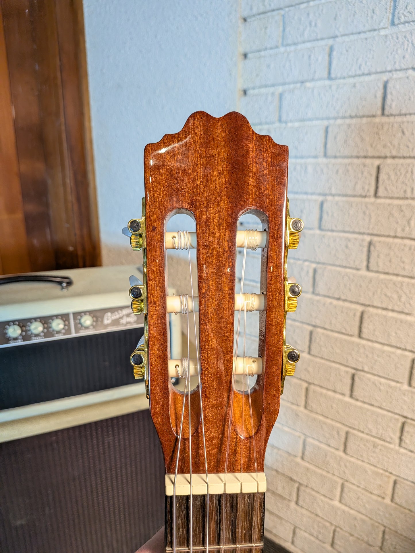 Beaver Creek Solid Top Classical Guitar - Gloss Natural