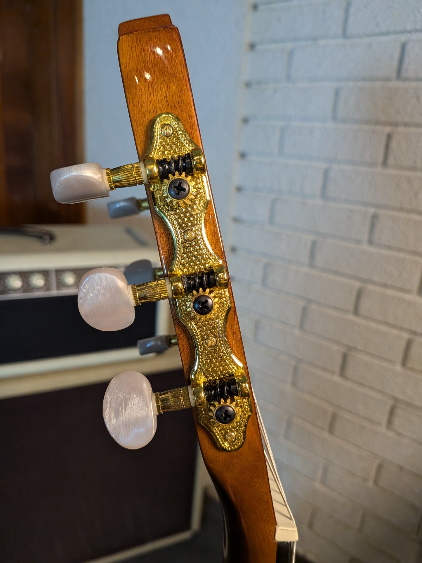 Beaver Creek Solid Top Classical Guitar - Gloss Natural