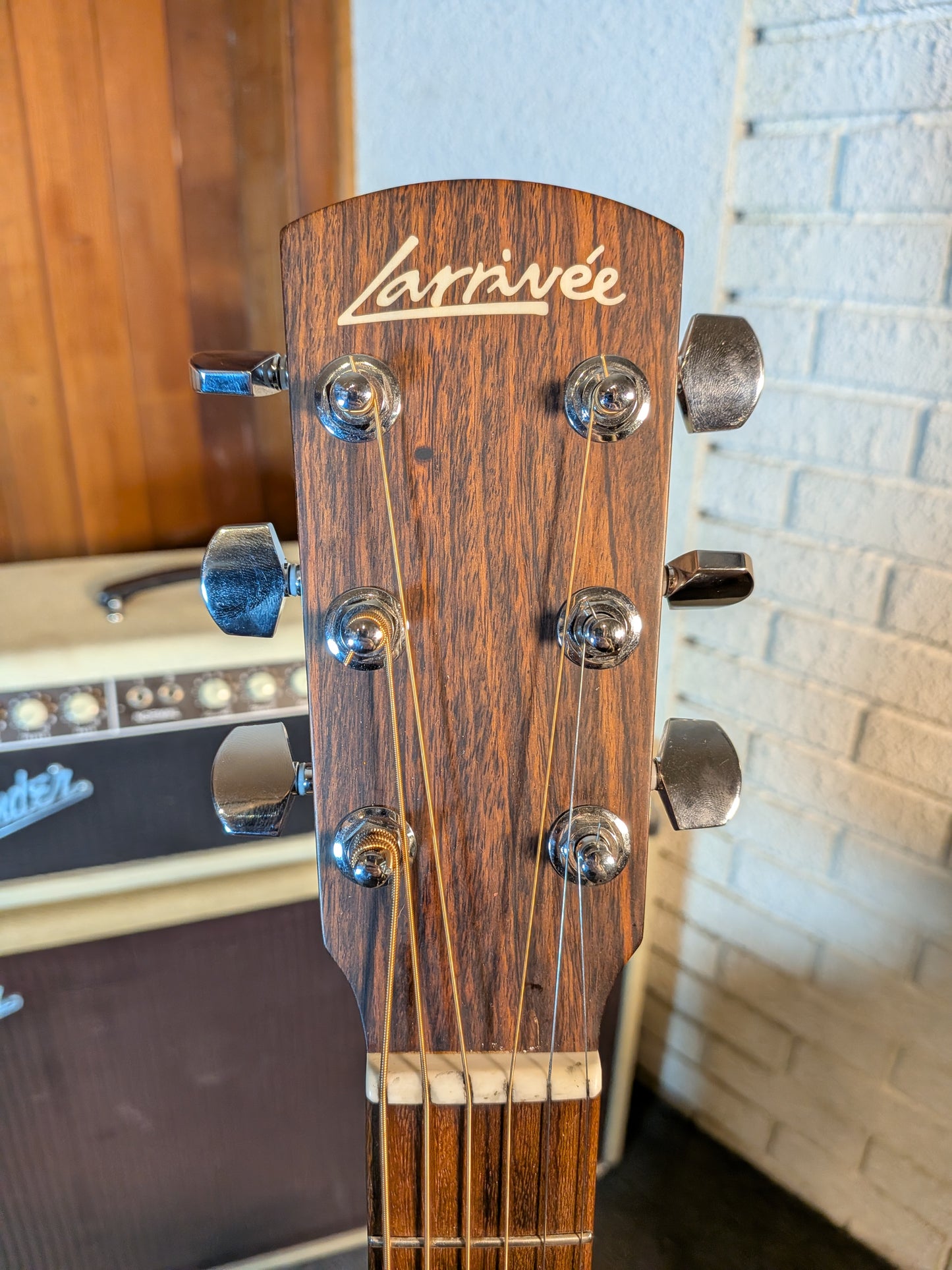 Larrivee Limited Edition D-03 Swamp Ash Dreadnought Acoustic Guitar w/Case (2014)