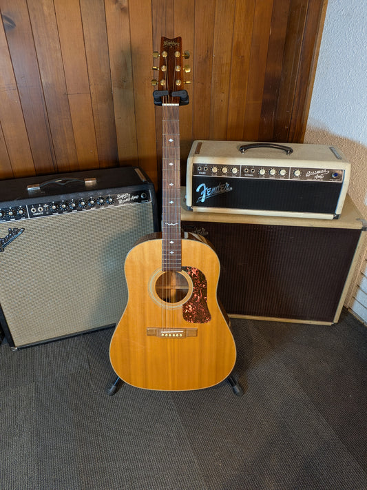 Washburn D-25S/N Slope Shoulder Acoustic Guitar w/Case (Late 1980's - Early 1990's)