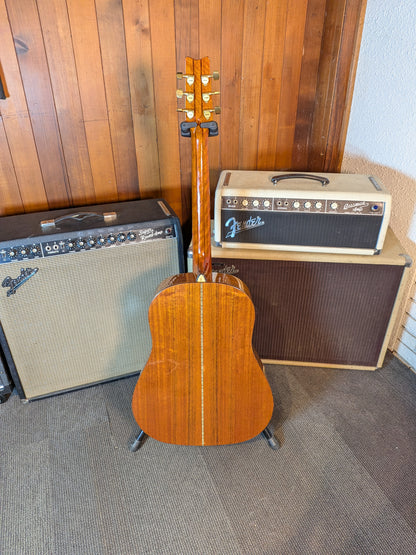 Washburn D-25S/N Slope Shoulder Acoustic Guitar w/Case (Late 1980's - Early 1990's)