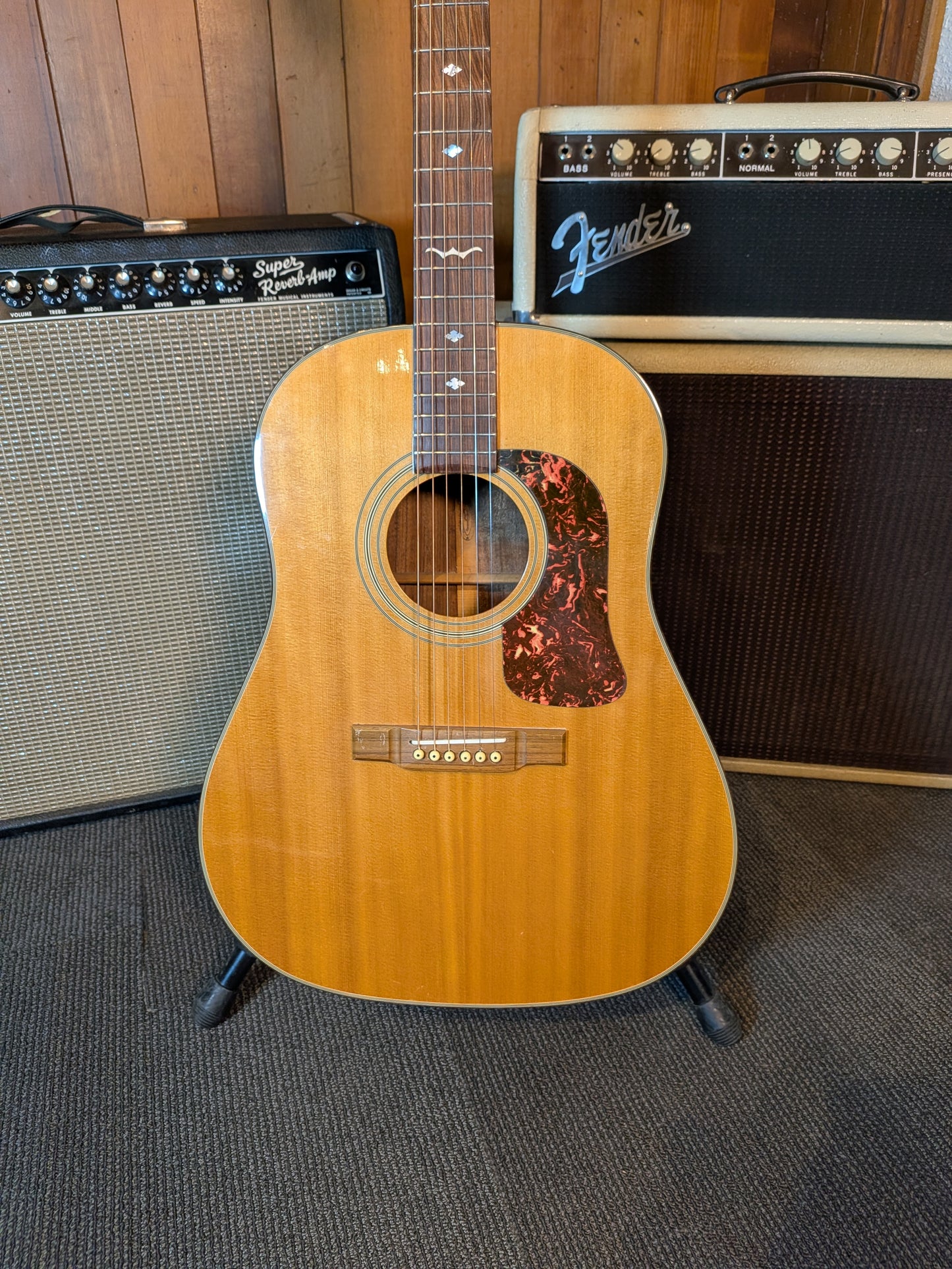 Washburn D-25S/N Slope Shoulder Acoustic Guitar w/Case (Late 1980's - Early 1990's)