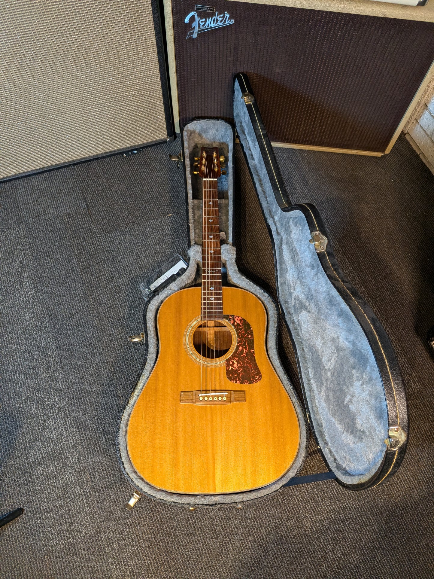 Washburn D-25S/N Slope Shoulder Acoustic Guitar w/Case (Late 1980's - Early 1990's)