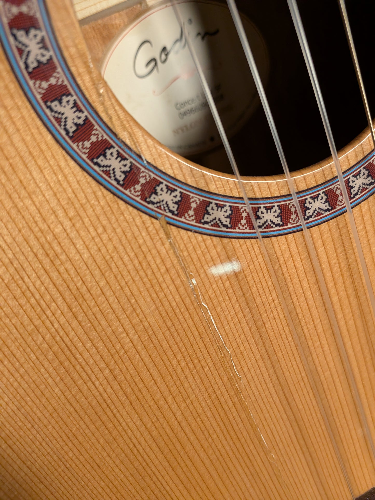 Godin Concert Left Handed Classical Guitar (Used)