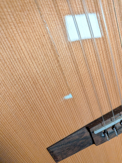 Godin Concert Left Handed Classical Guitar (Used)