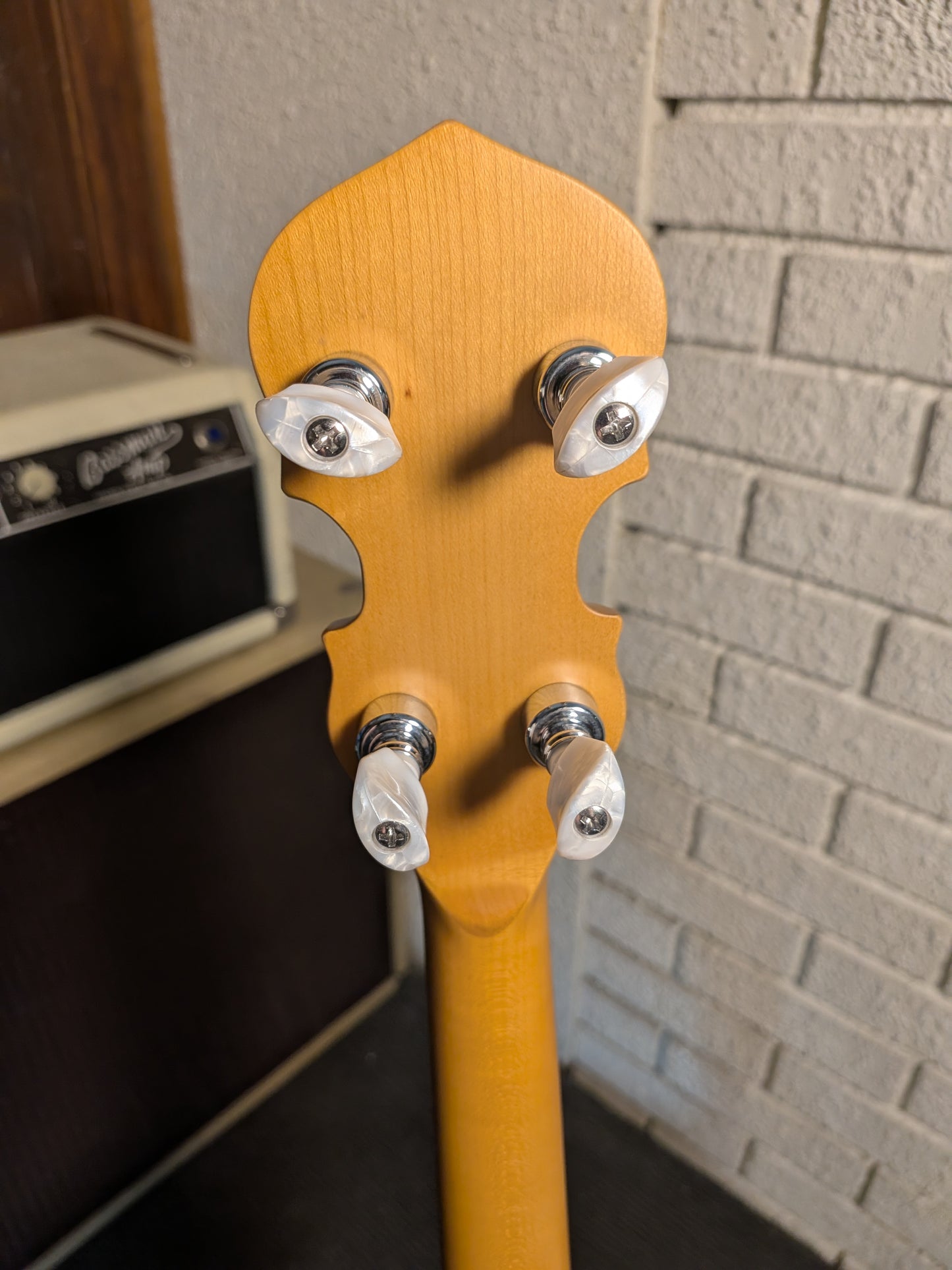 Alabama Solid Body 5-String Electric Banjo - Matte Natural